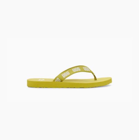 UGG Graphic Light Green Sandals for Women (ISAO29837)